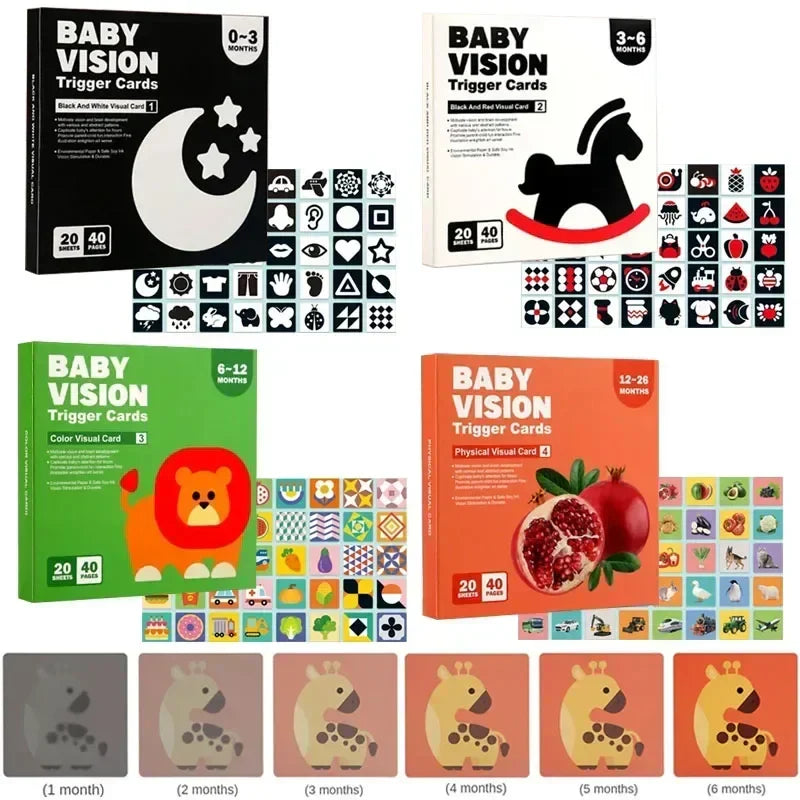 Educational & Informative – Infant Cognition Picture Book