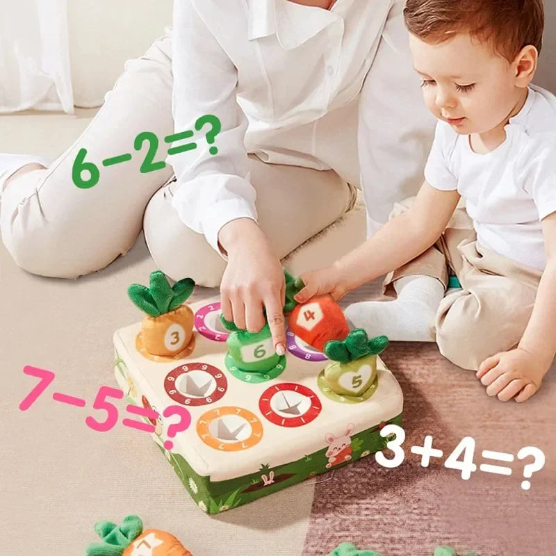 Feeling & Picking - Tactile Toys