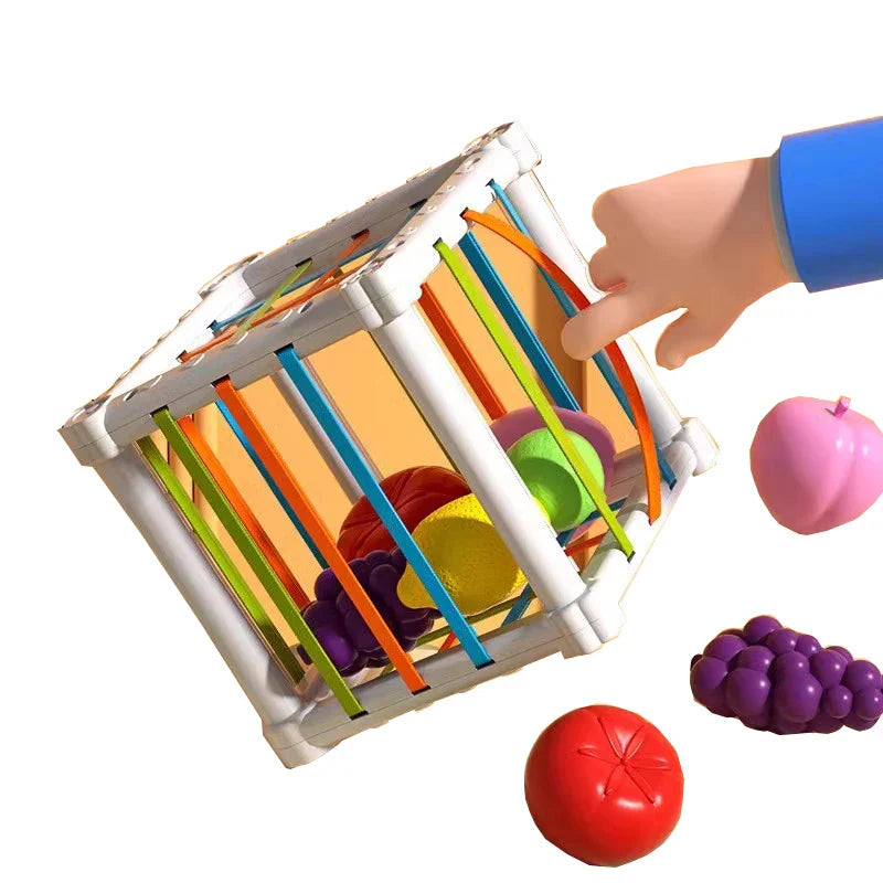 Cut, Play, Learn - Fruit in box