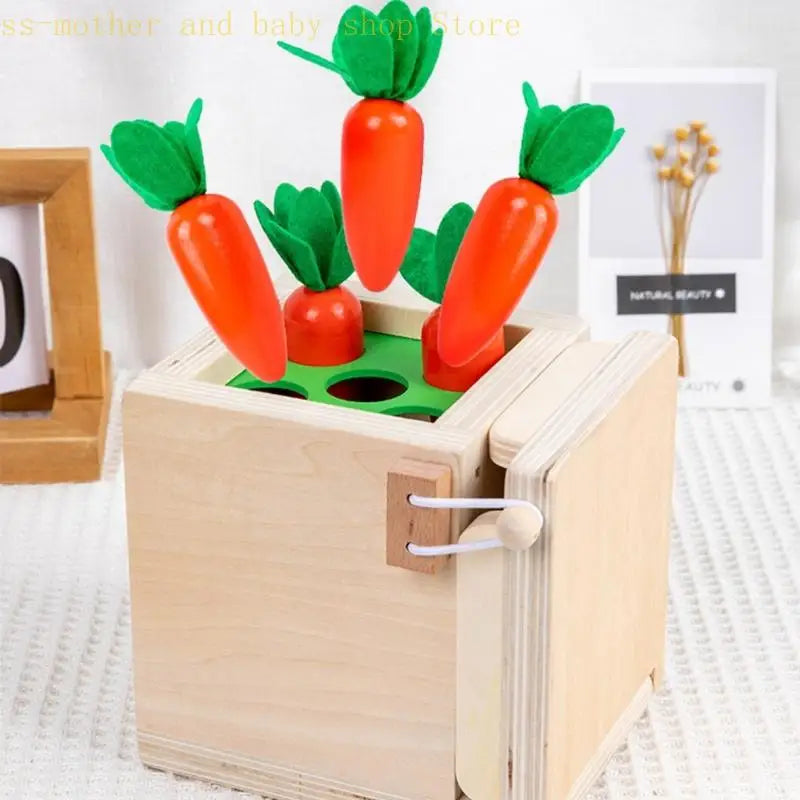 Colors & Shapes - Wood Sorting Toys