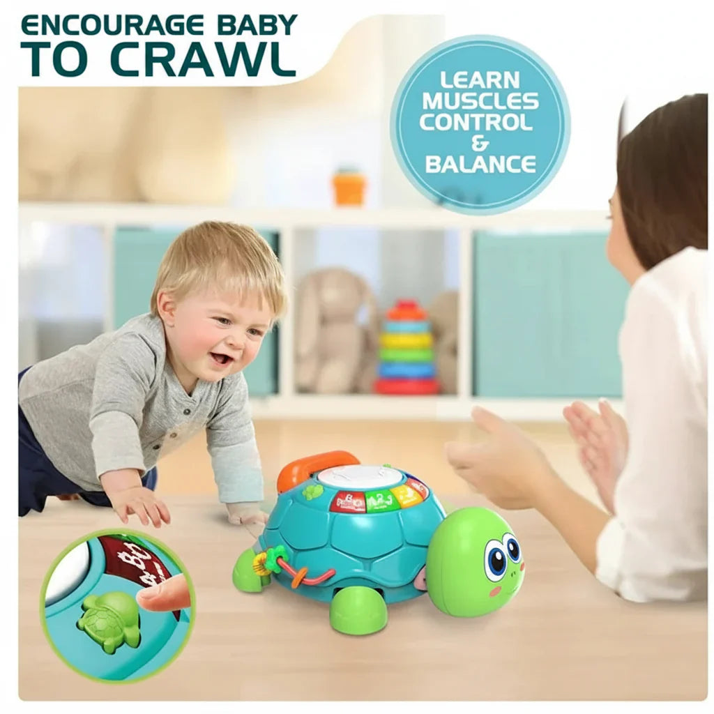 Interactive & Musical - Turtle Plaything with Songs