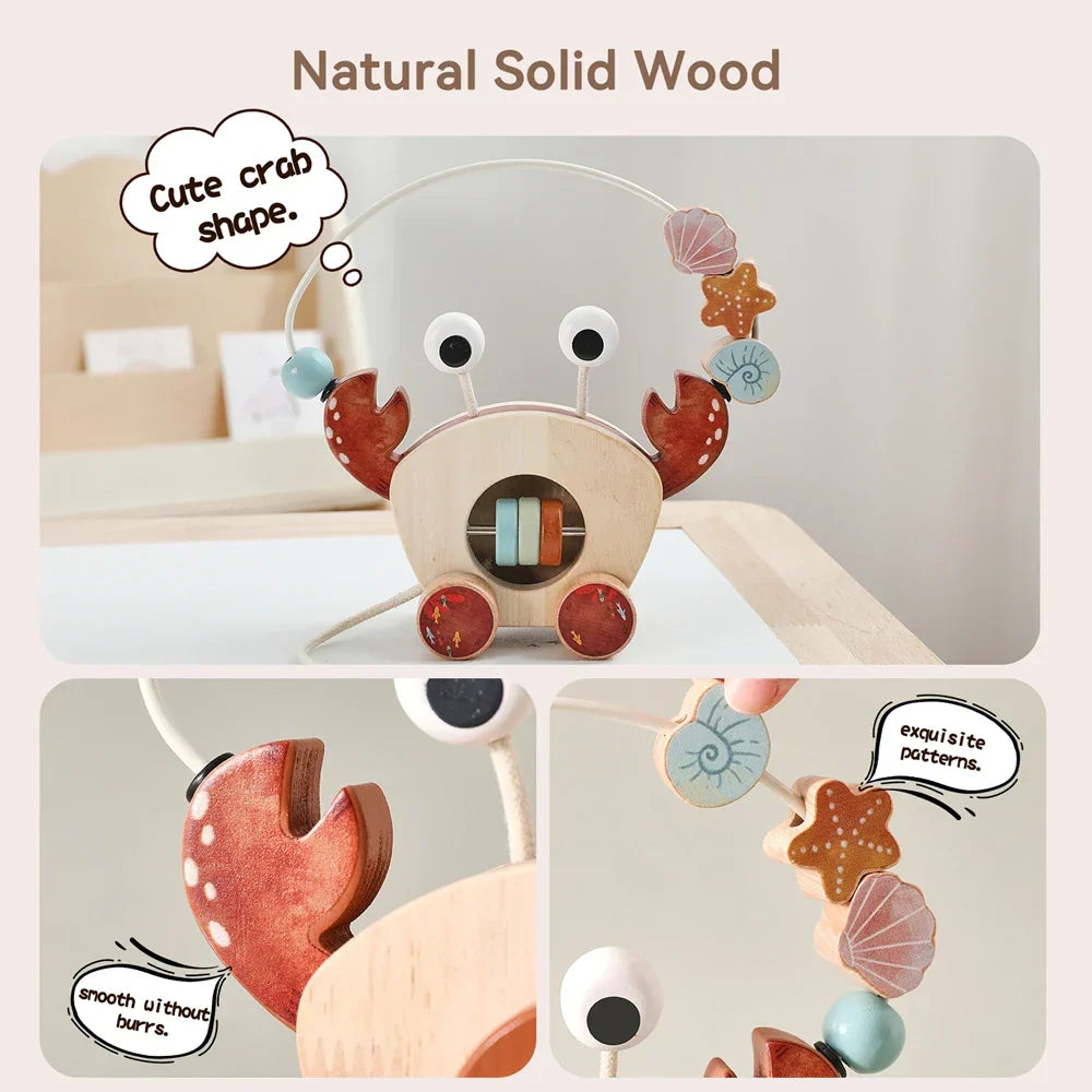 Play & Learn - Wood Crab
