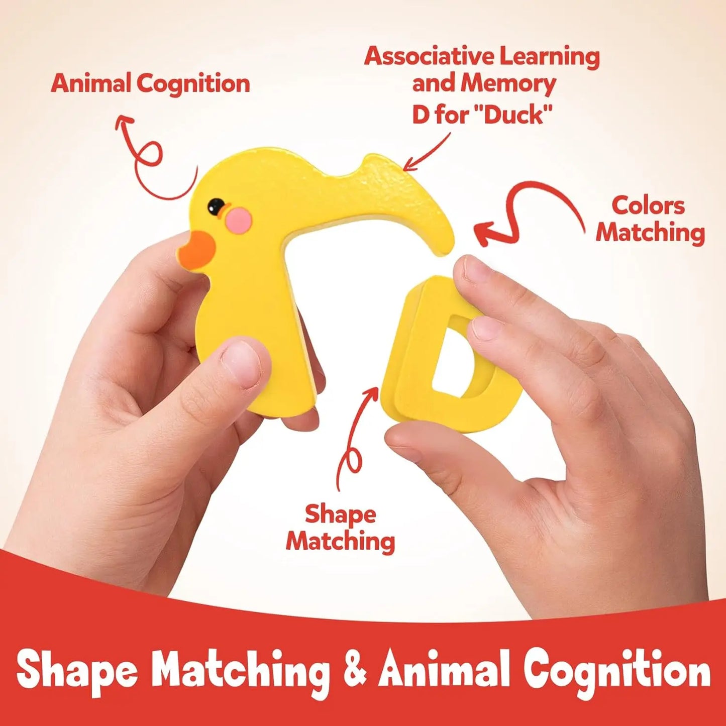 Playful & Educational – Animal Alphabet Brain-teaser for Children