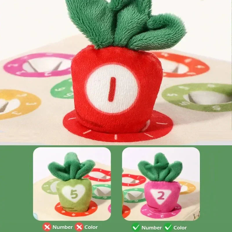 Feeling & Picking - Tactile Toys