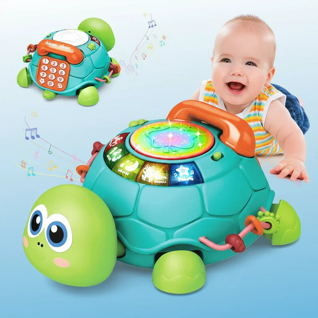 Interactive & Musical - Turtle Plaything with Songs
