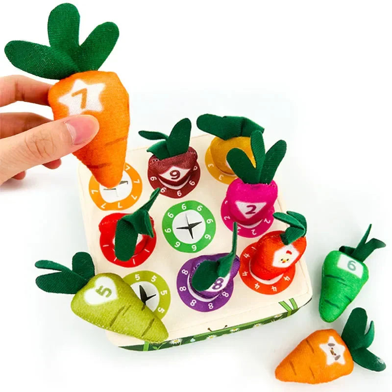 Feeling & Picking - Tactile Toys