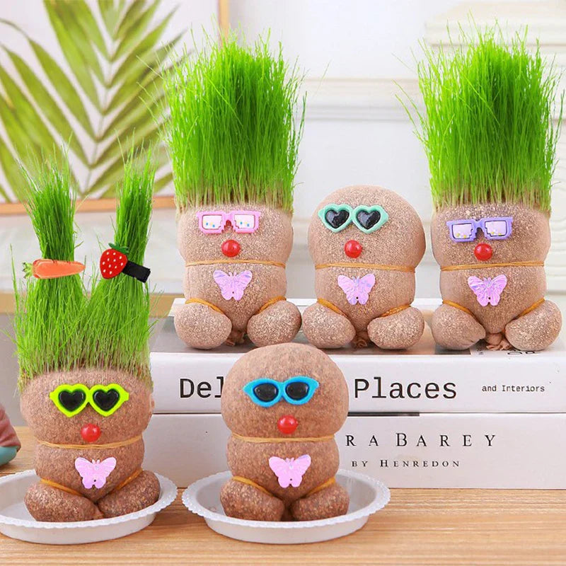 Learn to care for plants - Home Decoration Plants