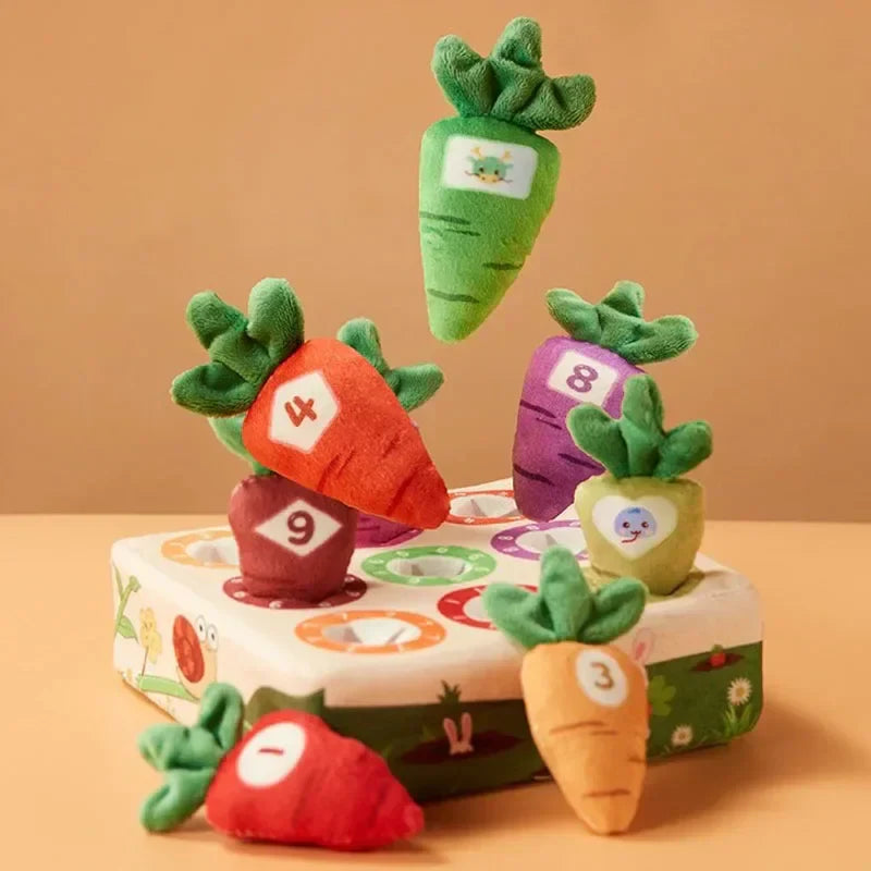 Feeling & Picking - Tactile Toys