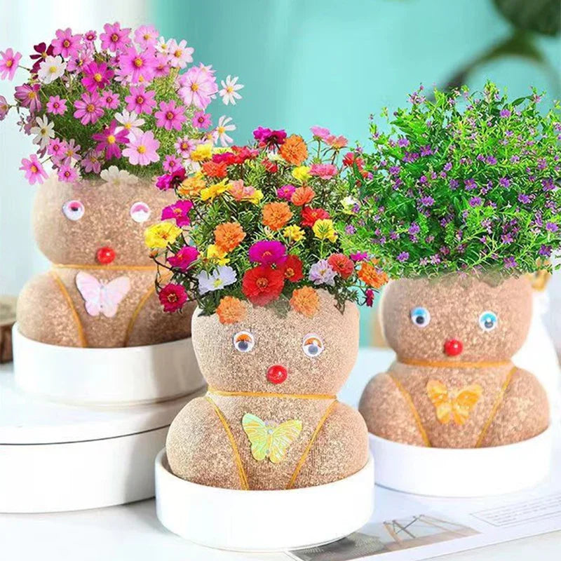 Learn to care for plants - Home Decoration Plants