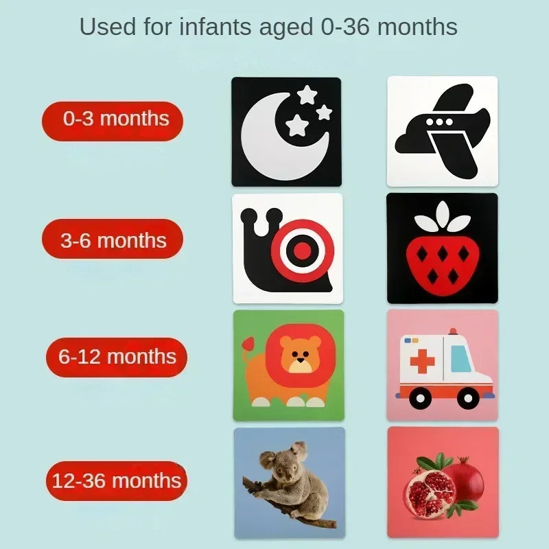 Educational & Informative – Infant Cognition Picture Book