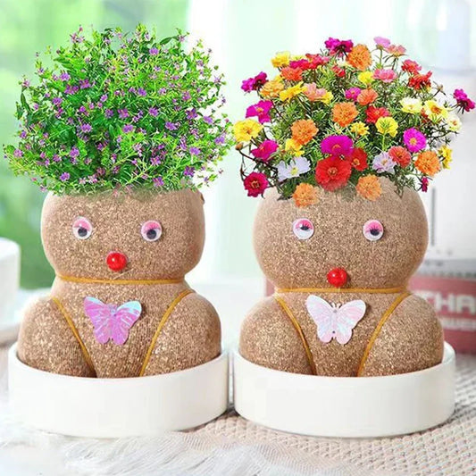 Learn to care for plants - Home Decoration Plants