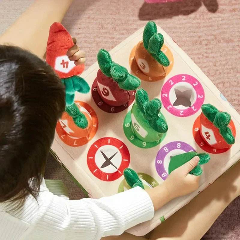 Feeling & Picking - Tactile Toys