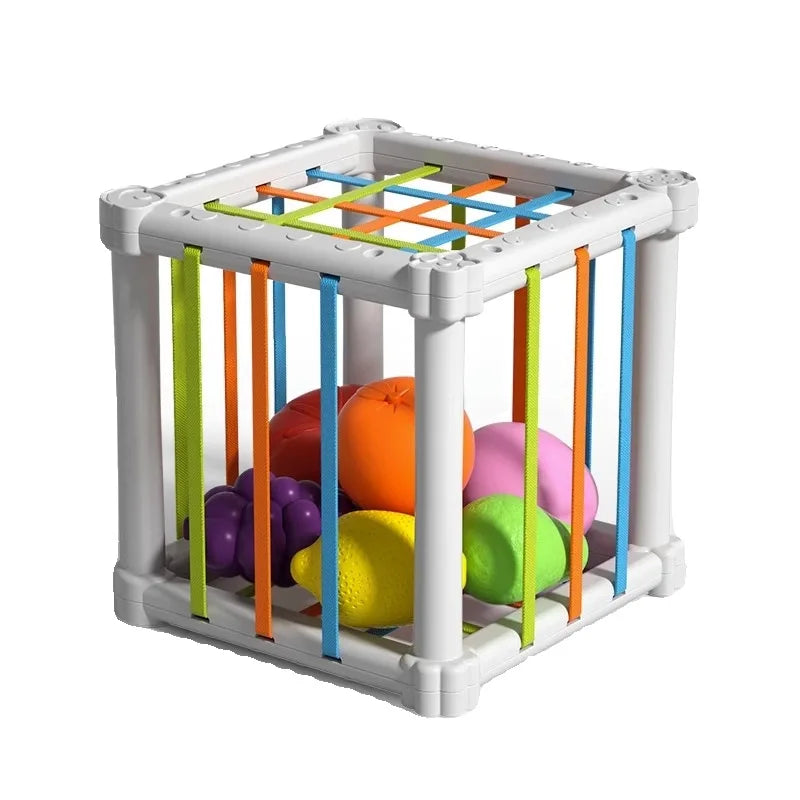 Cut, Play, Learn - Fruit in box