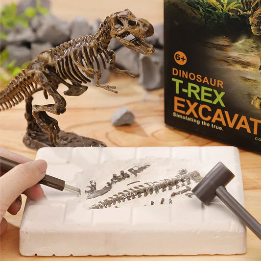 Exciting and learning – Fossil excavation kit