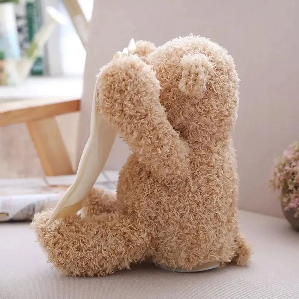Bear Melody - Peekaboo teddy bear