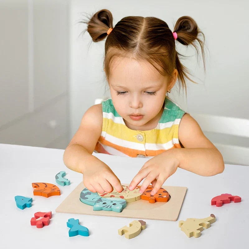 Explore & Learn - Cartoon Wood Puzzle