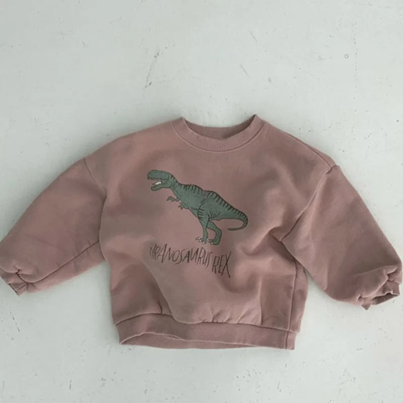 Cute Dinosaur Print - Dino Sweater